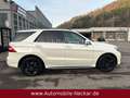 Mercedes-Benz ML 350 CDI BlueTec AMG Disigno-VOLLAUSSTATTUNG- Weiß - thumbnail 5