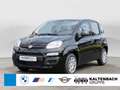 Fiat Panda 1.0 Base PDC KLIMA Schwarz - thumbnail 1