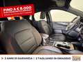 Ford Kuga 2.5 phev st-line 2wd 225cv cvt Grigio - thumbnail 7