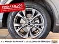 Ford Kuga 2.5 phev st-line 2wd 225cv cvt Grigio - thumbnail 14