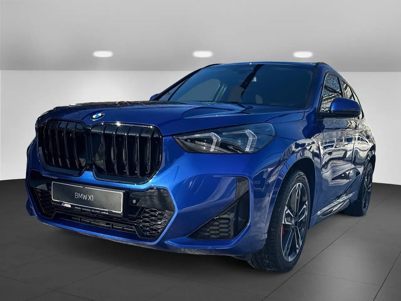BMW X1 xDrive20d M Sportpaket Head-Up HK HiFi DAB