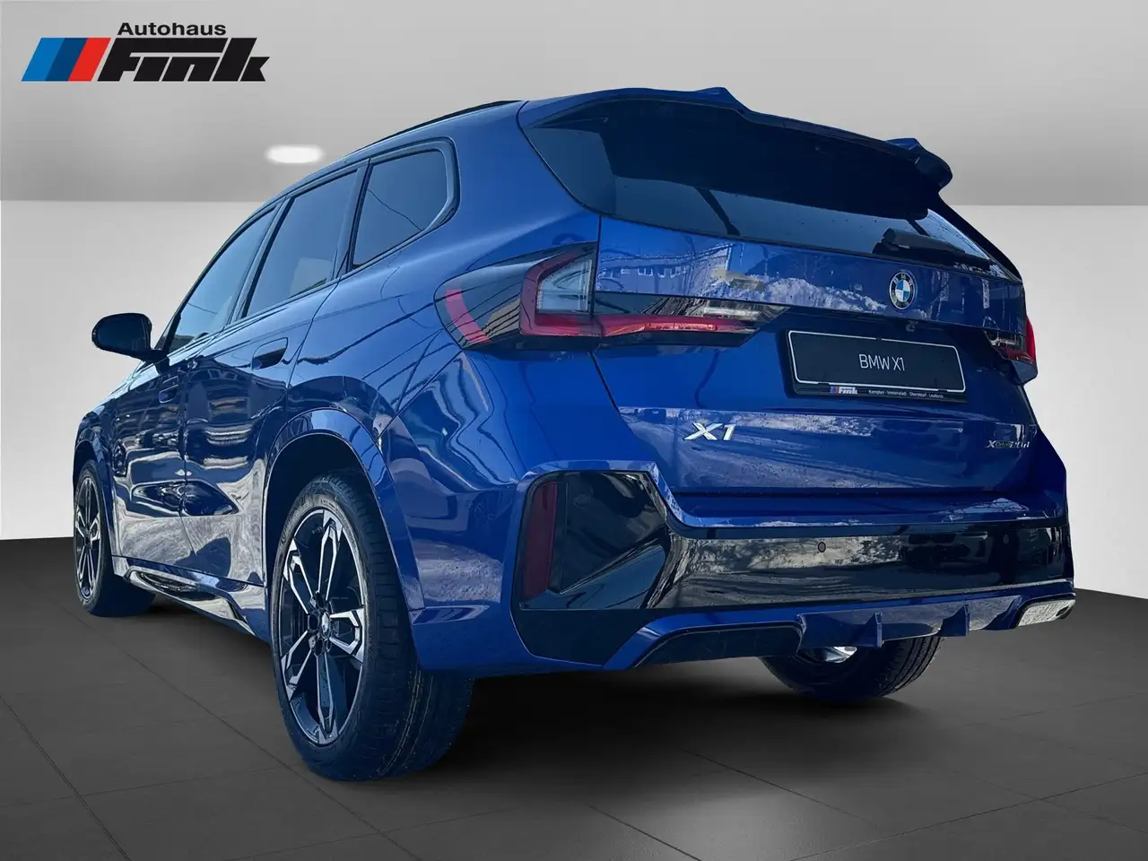 BMW X1 xDrive20d M Sportpaket Head-Up HK HiFi DAB 4