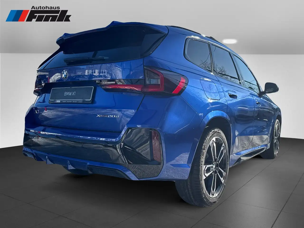 BMW X1 xDrive20d M Sportpaket Head-Up HK HiFi DAB 6