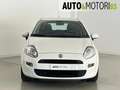 Fiat Punto 1.2 8V 5 porte Easy Bianco - thumbnail 2