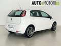 Fiat Punto 1.2 8V 5 porte Easy Bianco - thumbnail 4
