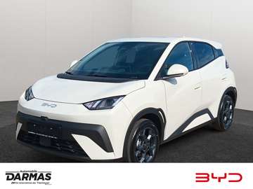 DOLPHIN SURF Comfort