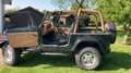 Jeep Wrangler YJ Зелений - thumbnail 3