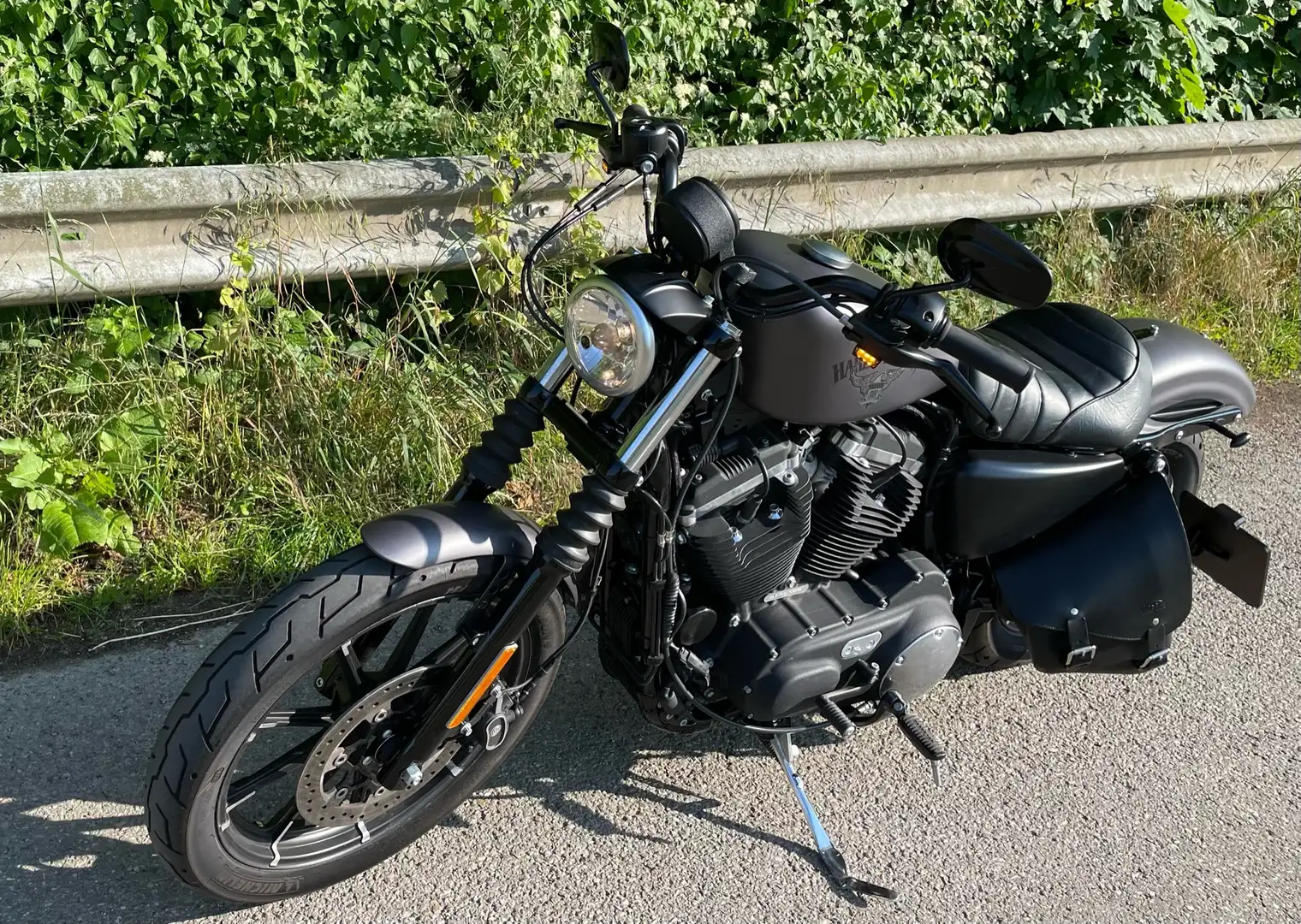 Harley-Davidson Iron 883 Sportster Сірий - 2
