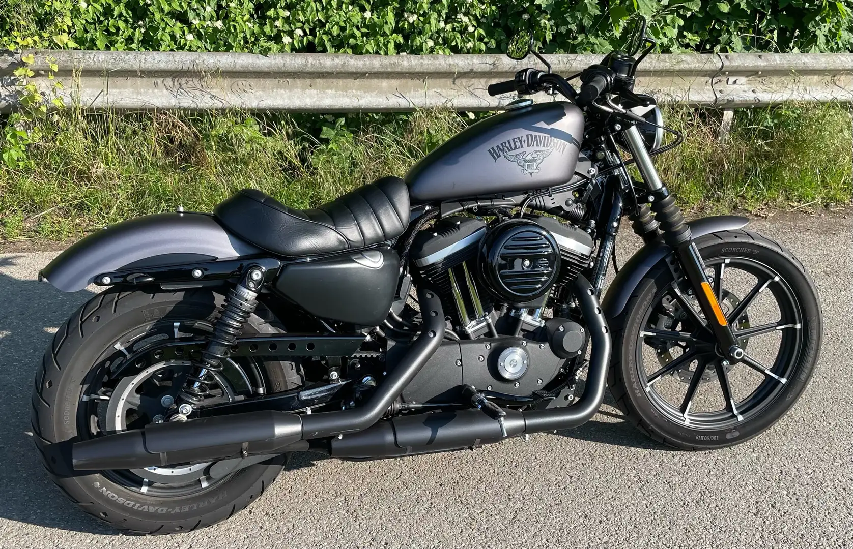 Harley-Davidson Iron 883 Sportster Сірий - 1