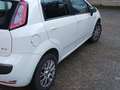 Fiat Punto Evo 5p 1.4 natural power Emotion 70cv Bianco - thumbnail 1