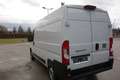 Fiat Ducato MAXI 35 L2H2 140 Weiß - thumbnail 5
