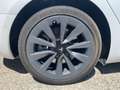 Tesla Model 3 STANDARD RWD PLUS MY22 Blanco - thumbnail 10