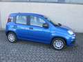 Fiat Panda Pandina 1.0 firefly hybrid Icon  PREZZO REALE Blu/Azzurro - thumbnail 6