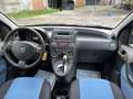 Fiat Panda 1.2 dualogic - Automatica Blau - thumbnail 14