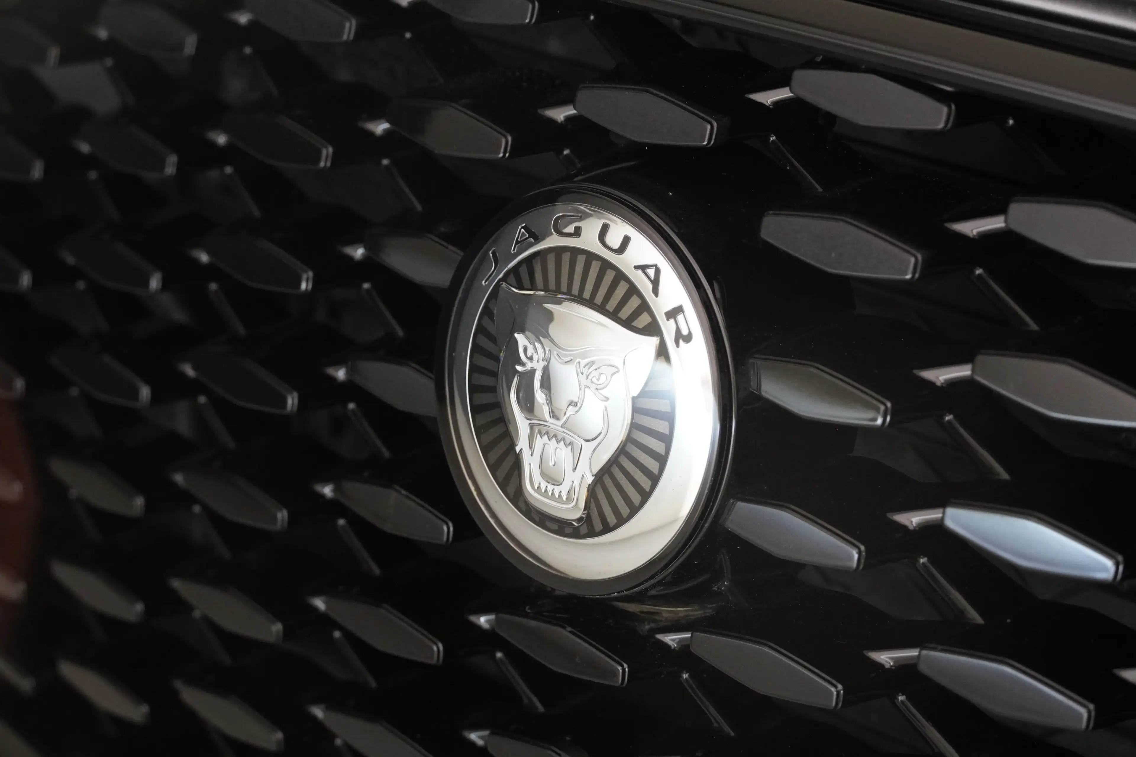 Jaguar F-Pace 2.0PHEV R Dyn S — photo 7