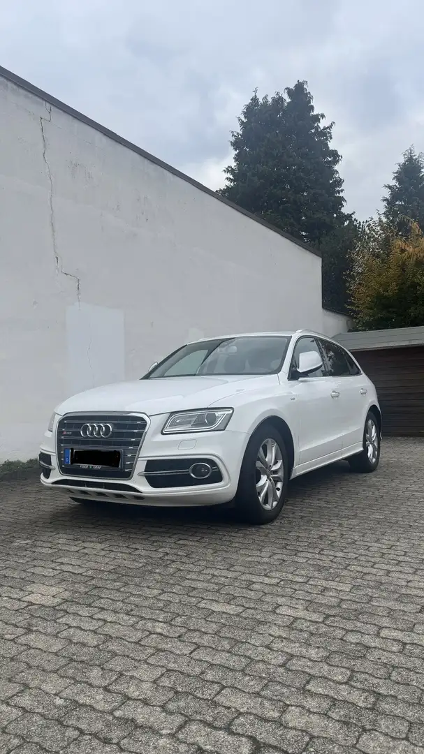Audi SQ5 3.0 TDI competition quattro Weiß - 1