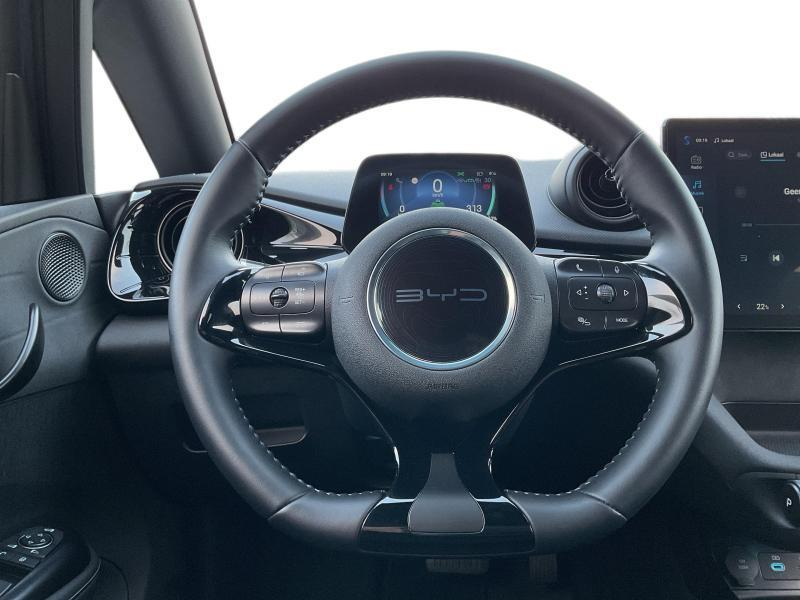 BYD Dolphin DESIGN — photo 10