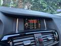 BMW X4 X4 xDrive20i Aut. xLine Gris - thumbnail 21
