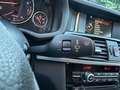 BMW X4 X4 xDrive20i Aut. xLine Gris - thumbnail 28