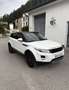 Land Rover Range Rover Evoque Pure Tech 2,2 TD4 - thumbnail 2