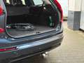 Volvo XC90 T8 AWD Plus Dark AHK 360 PANO St-Hz H&K Blau - thumbnail 14