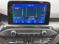 Ford Focus 2.0 EcoBlue S&S ST mit Styling-Paket (DEH) Rouge - thumbnail 14
