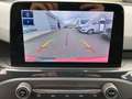Ford Focus 2.0 EcoBlue S&S ST mit Styling-Paket (DEH) Rouge - thumbnail 15