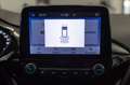 Ford Fiesta 5p 1.1 Titanium 75cv Blu/Azzurro - thumbnail 12