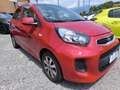 Kia Picanto Picanto -  GPL BENZINA - UNICOPROPRIETARIO - Rosso - thumbnail 5