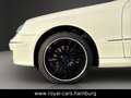 Mercedes-Benz CLK 350 Coupe NAVI*MEMORY*SHZ*LEDER*EGSD*TEMPOMA Weiß - thumbnail 27