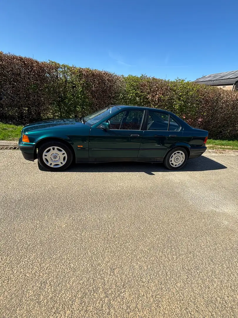 BMW 318 318i Verde - 1