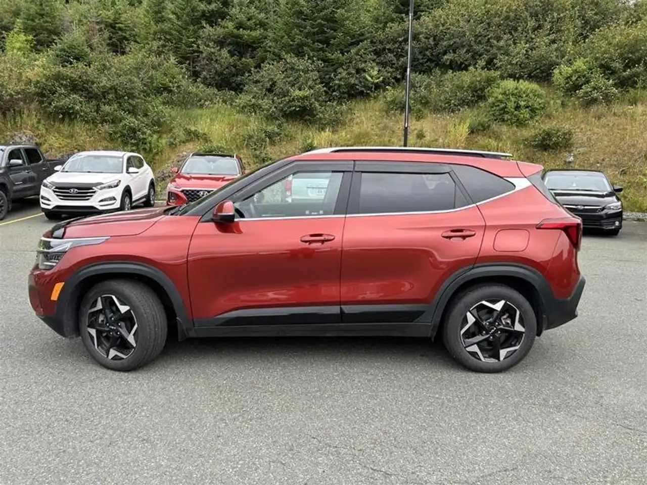 Kia Seltos снимка Kia Seltos