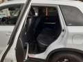 Suzuki Vitara 1.4 Sport CLIMA NAVI LMV TREKHAAK 1200kg Bianco - thumbnail 24