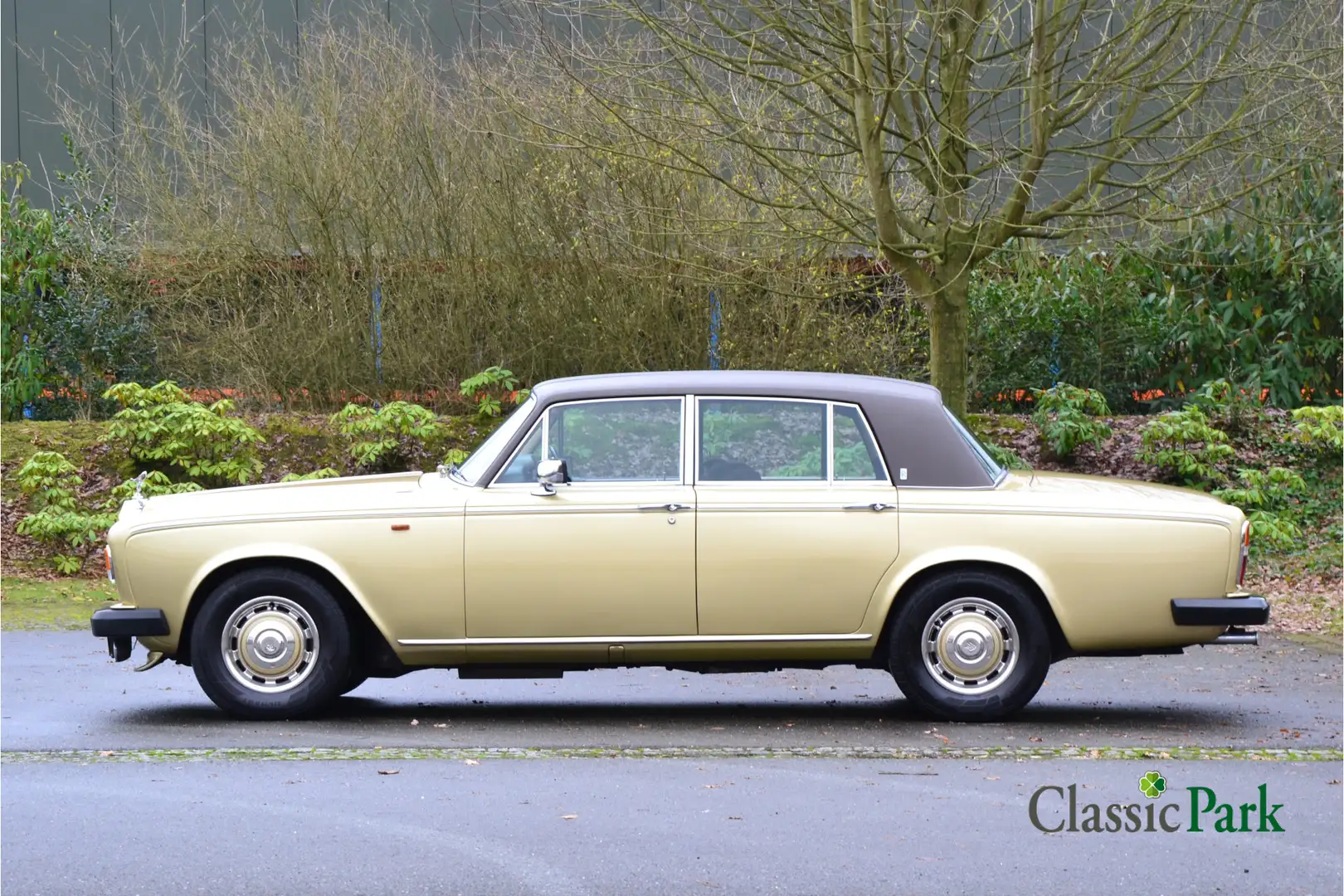 Rolls-Royce Silver Shadow II Beige - 2