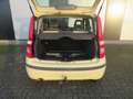 Fiat Panda 1.2 Active Gelb - thumbnail 5