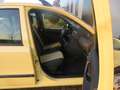 Fiat Panda 1.2 Active Gelb - thumbnail 14