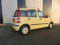 Fiat Panda 1.2 Active Gelb - thumbnail 3