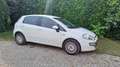 Fiat Grande Punto Grande Punto 1.3 MJT 75 CV 5 porte S&S Actual Bianco - thumbnail 6