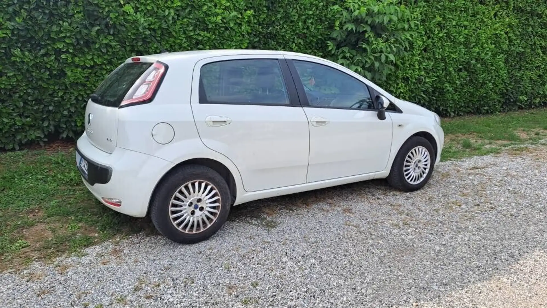 Fiat Grande Punto Grande Punto 1.3 MJT 75 CV 5 porte S&S Actual Bianco - 2