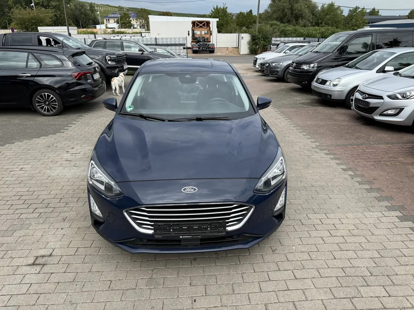 Ford Focus Titanium Blau - 2