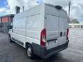 Fiat Ducato 35 2.3 MJT 130CV * PER OPERATORI DEL SETTORE * Bianco - thumbnail 4