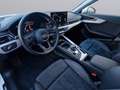 Audi A4 ALLROAD 40TDI NAVI VIRTUAL 3 ZONE CAMERA CARPLA Blanco - thumbnail 16