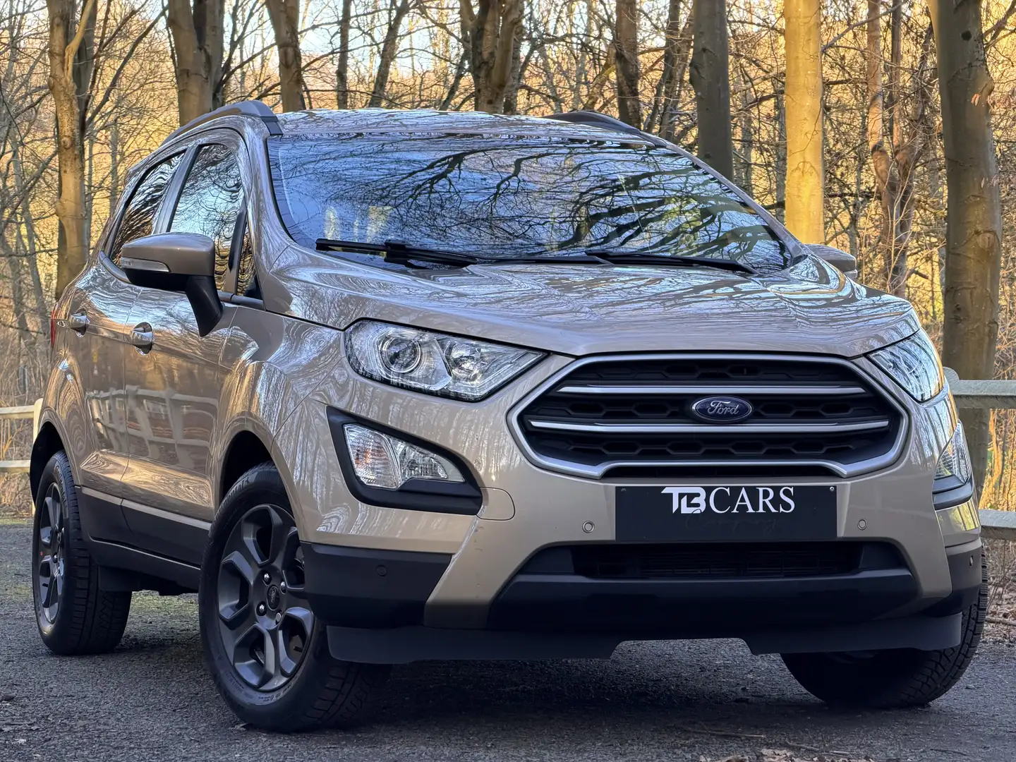 Ford EcoSport // BOITE AUTOMATIQUE \\ * 35.000 KM * Grau - 2
