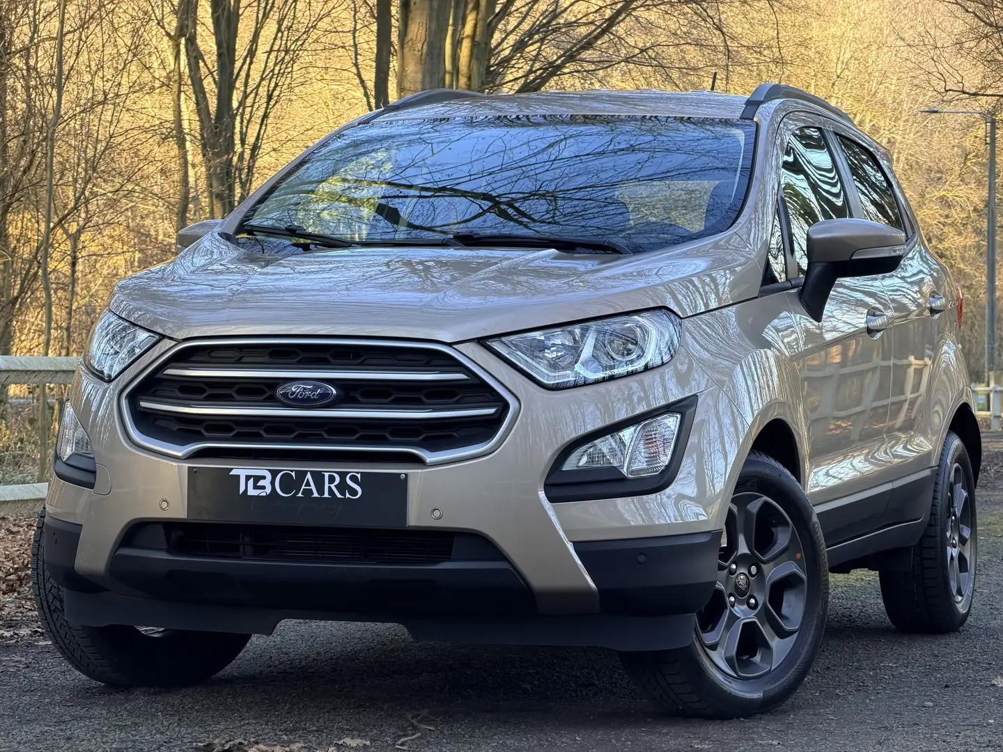 Ford EcoSport // BOITE AUTOMATIQUE \\ * 35.000 KM * Grau - 1