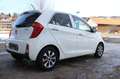 Kia Picanto Dream Team Weiß - thumbnail 5