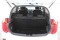 Kia Picanto Dream Team Weiß - thumbnail 6