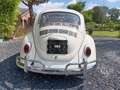 Volkswagen Coccinelle Standard de 1971. Wit - thumbnail 4