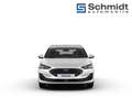 Ford Focus Titanium Edition 1,5L Eblue 115PS A FWD Schwarz - thumbnail 8