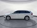 Skoda Octavia Combi 2.0TDI DSG Ambition Navi Columbus Weiß - thumbnail 3