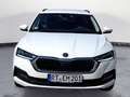 Skoda Octavia Combi 2.0TDI DSG Ambition Navi Columbus Weiß - thumbnail 7